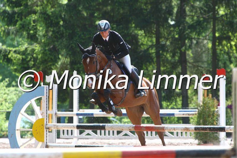 104M8080_Springpf L.JPG